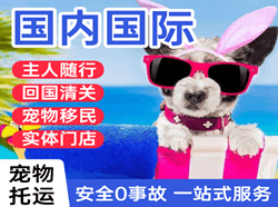 南通航空快运国际宠物托运 【国